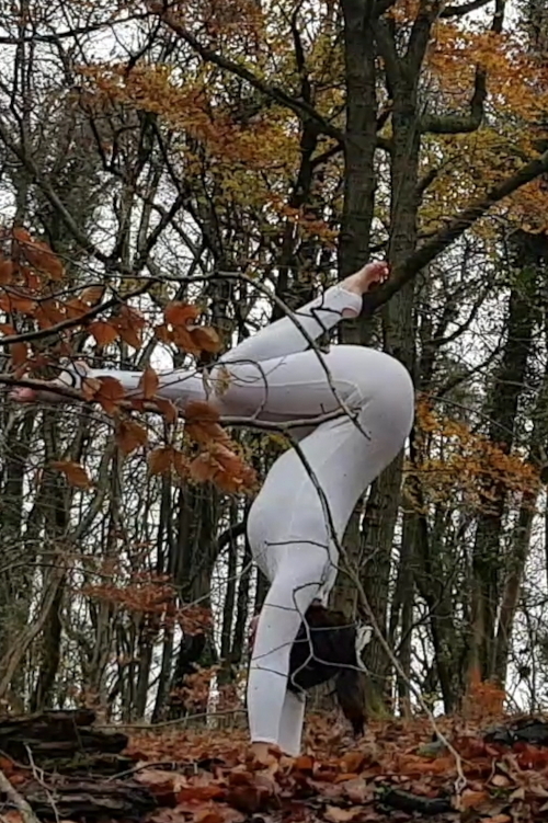 The 2 Lisas - Lisa W in autumnal woods blending her handstand shapes in to nature